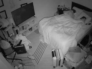 The Horny Hostel - Bedroom 2