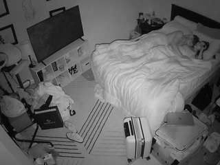 The Horny Hostel - Bedroom 2