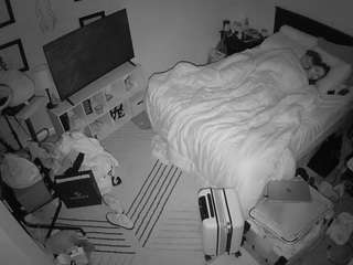 The Horny Hostel - Bedroom 2