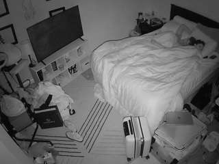 The Horny Hostel - Bedroom 2