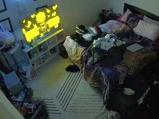 The Horny Hostel - Bedroom 2