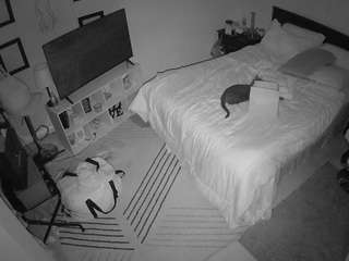 voyeurcam-hornyhostel-01 webcam
