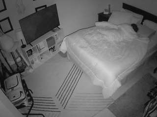 The Horny Hostel - Bedroom 2