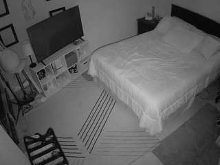 The Horny Hostel - Bedroom 2