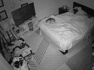 voyeurcam-hornyhostel-01 webcam