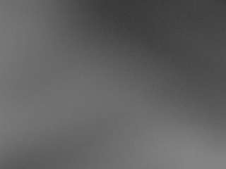 The Horny Hostel - Bedroom 2