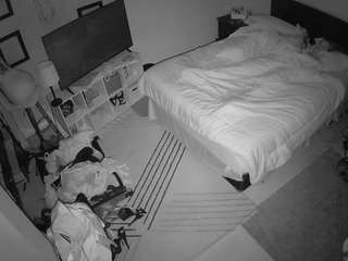 The Horny Hostel - Bedroom 2