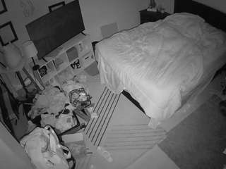 The Horny Hostel - Bedroom 2