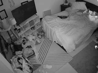 voyeurcam-hornyhostel-01 webcam