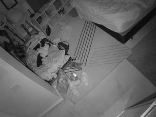 voyeurcam-hornyhostel-01 webcam