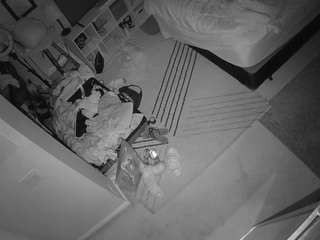 voyeurcam-hornyhostel-01 live cam profile