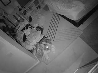 voyeurcam-hornyhostel-01 webcam