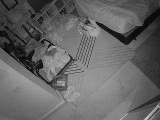 voyeurcam-hornyhostel-01 live cam profile