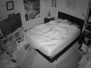 voyeurcam-hornyhostel-01 webcam
