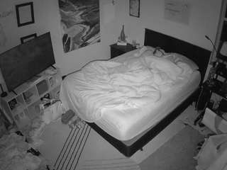 voyeurcam-hornyhostel-01 webcam