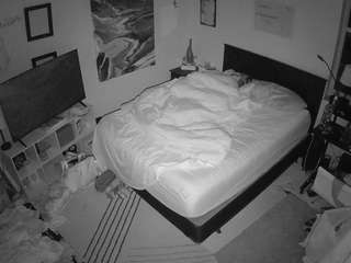 The Horny Hostel - Bedroom 2 live webcam on Soda Cams