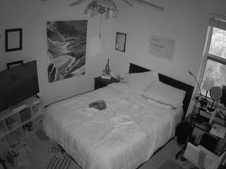 voyeurcam-hornyhostel-01 live cam profile