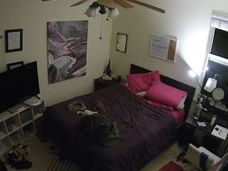 voyeurcam-hornyhostel-01 live cam profile