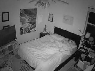 The Horny Hostel - Bedroom 2