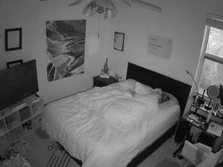 voyeurcam-hornyhostel-01 webcam