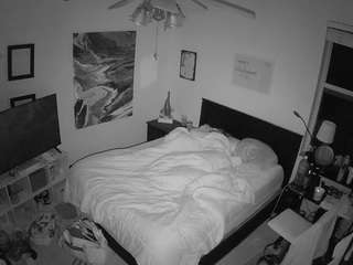 voyeurcam-hornyhostel-01 webcam