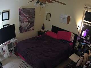 The Horny Hostel - Bedroom 2