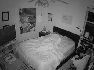 The Horny Hostel - Bedroom 2