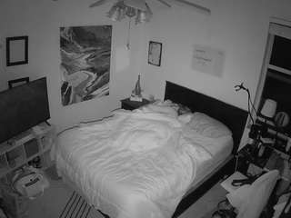 The Horny Hostel - Bedroom 2