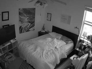 The Horny Hostel - Bedroom 2