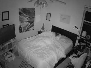 voyeurcam-hornyhostel-01