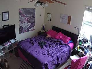 The Horny Hostel - Bedroom 2