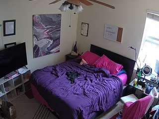 voyeurcam-hornyhostel-01 webcam