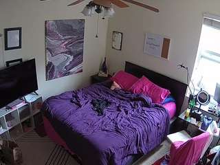 voyeurcam-hornyhostel-01 webcam