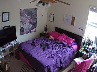 voyeurcam-hornyhostel-01 webcam