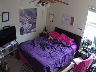 The Horny Hostel - Bedroom 2