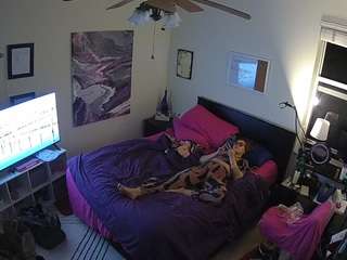 voyeurcam-hornyhostel-01 webcam