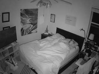 The Horny Hostel - Bedroom 2