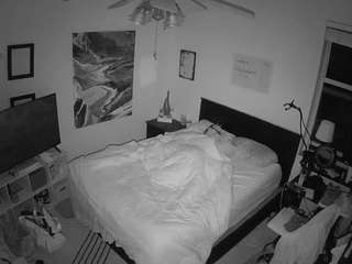 The Horny Hostel - Bedroom 2