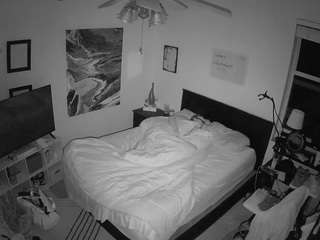 The Horny Hostel - Bedroom 2