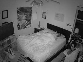 The Horny Hostel - Bedroom 2