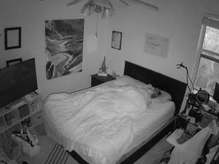 The Horny Hostel - Bedroom 2