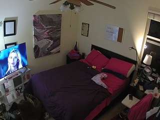 The Horny Hostel - Bedroom 2