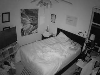 The Horny Hostel - Bedroom 2