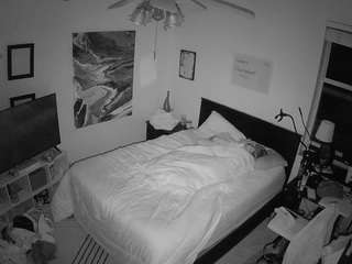 The Horny Hostel - Bedroom 2