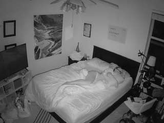 The Horny Hostel - Bedroom 2