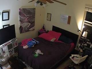 The Horny Hostel - Bedroom 2