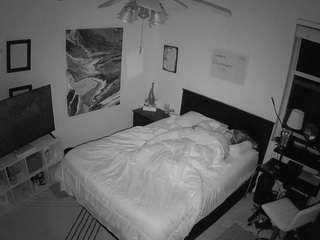 The Horny Hostel - Bedroom 2