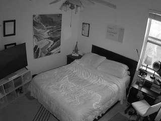 The Horny Hostel - Bedroom 2
