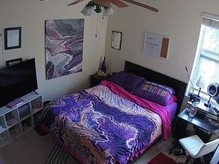 The Horny Hostel - Bedroom 2
