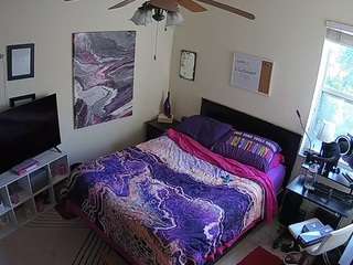 The Horny Hostel - Bedroom 2